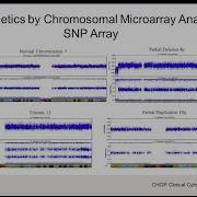 12 Chromosomal Microarray Testing