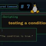 If Test And If For Testing A Condition Linux ShellScripting IfCondition Shellscripting7
