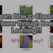 Tutorial 10 Flower Classification With Deep Neural Network With Tensorflow And Python Programming