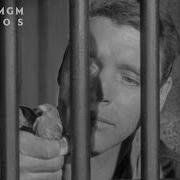 BIRDMAN OF ALCATRAZ 1962 Official Trailer MGM
