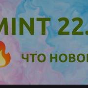 Linux Mint 22 3 для новичков новые функции установка на HDD
