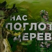 Нас поглотят деревья Veritasium