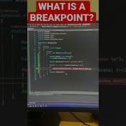 WHAT IS A BREAKPOINT IN PROGRAMMING Shorts