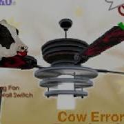 Cow Error 557
