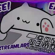 How To Get Bongocat Cam OBS Streamlabs 2025 The Easy Way
