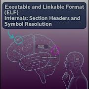 Deep Dive ELF Internals Section Headers Symbol Resolution Explained