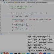 Dog Years Calculator Part2