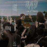 Trauma Ray At Trees