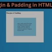 Margin Padding In HTML CSS CSS Tutorial