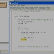 Debugging An Infinite Loop In Java With BlueJ