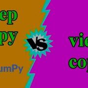 Deep Copy Vs View Copy Numpy Machine Learning Snake In Code