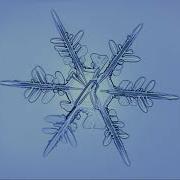 Timelapse Shows Frost Through A Microscope