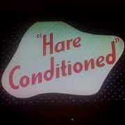 Opening To Hare Conditioned On MeTV