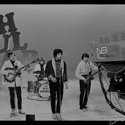 Beau Brummels Laugh Laugh 1965