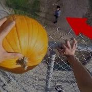 IMPOSSIBLE PUMPKIN SMASHING CHALLENGE GONE WRONG