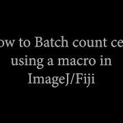 Showing How To Use A Macro To Batch Analyse DAB Labelled Sections