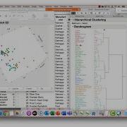 JMP Academic Series Research Methods Clustering PCA EFA CFA Path Analysis SEM
