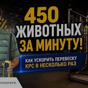 Перевеска КРС без тонны записей и ошибок интеграция Арки с весами Tru Test