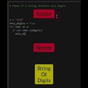 Junior Vs Senior Developer Coding Programming Python Shorts
