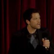 Misha S Panel AECON 2010 Cracking Up