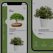 Building A Beautiful Plant App UI In Flutter Speed Code