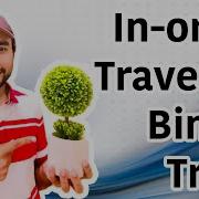 In Order Traversal Of Binary Tree Step By Step Demo With Example Study Algorithms