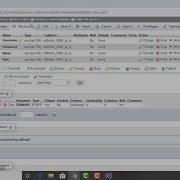 Manage User Details Motor Rental System In VB NET Ep 6