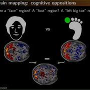 Neurohackademy Gael Varoquaux Machine Learning For Neuroimaging