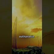 You Can Survive The Euthanasia Coaster Coaster Rollercoaster