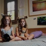 Kinectimals Wildcats