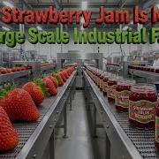 How Strawberry Jam Is Made In A Large Scale Industrial Factory