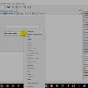 Make Show Password When Mouse Entered