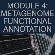 Bioinformatics Workshop 2022 Module 4 Metagenome Functional Annotation