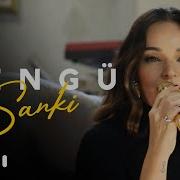 Bengü Sanki Akustik