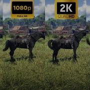 RDR2 Graphics Test 720p Vs 1080p Vs 2K Vs 4K Best Resolution Comparison