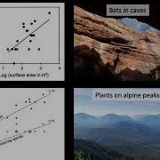 Introduction To Island Biogeography