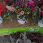 2016 Spring Trials HGTV HOME