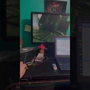 Video Processing With Nexys A7 100T FPGA Trainer Board