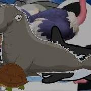 The Turtle Broke The Clock