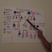 Paulena S Genogram