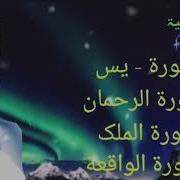 Surah Rehman Surah Yasin Surah Mulk Surah Waqia Sheikh Mohammad Faqih Best Recitation Quran