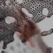 Element 3D Trapcode Compilation