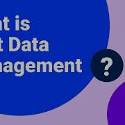 What Is Test Data Management