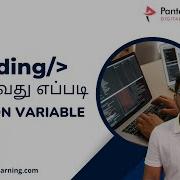 Переменные в Python Программирование на Python Переменные в Python Pantech ELearning