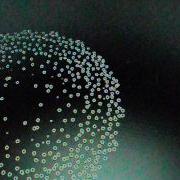 Processing MyFractalicious Java S P3D