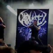 Brutal Assault 2015 Carnifex
