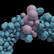 Basic RBD Morph Houdini