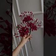 Pipe Cleaner Spider Lilies The Crafting Set Is In My Shop Deryadesigns Available