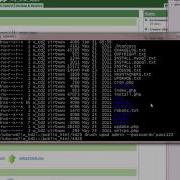 WebEnabled Using Drush CLI For Admin Password Reset And Module Updating In Drupal