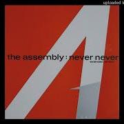 The Assembly Never Never 1983 Magnums Extended Mix